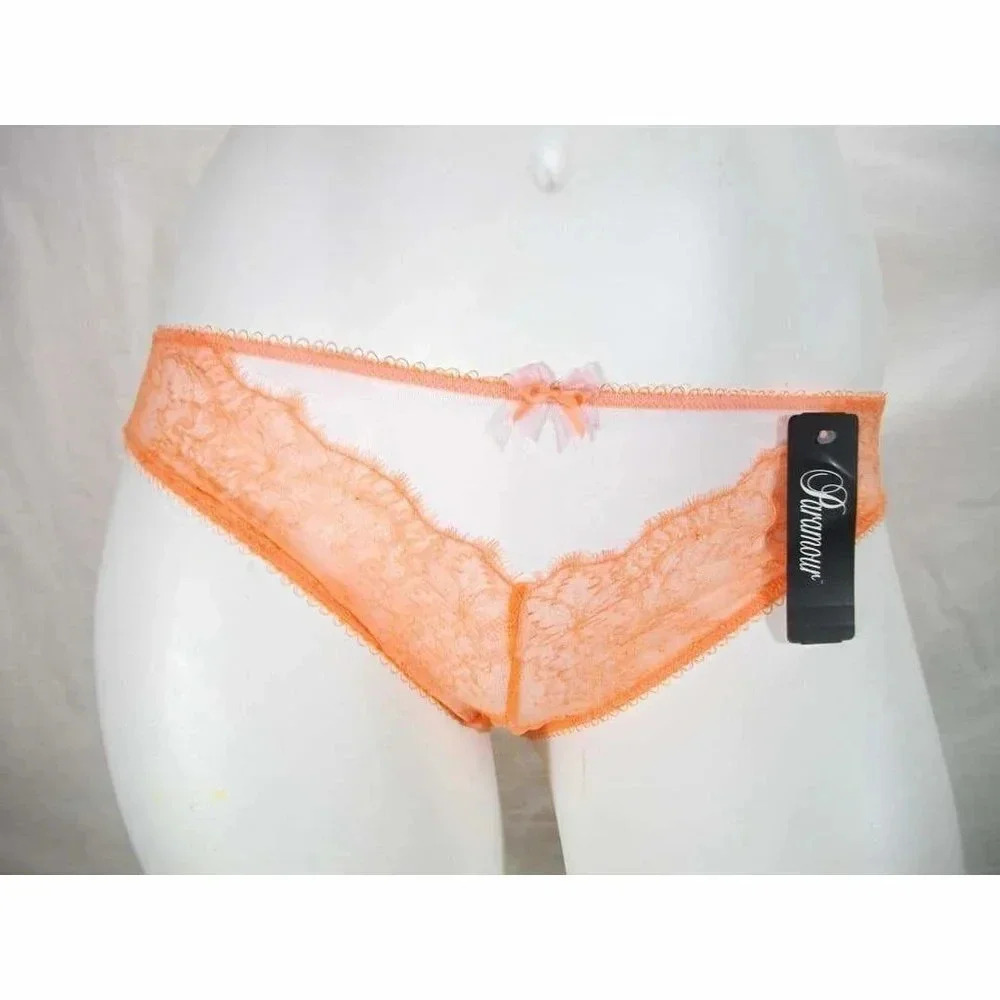 SMALL Paramour 635014 Amber Sheer Lace Bikini Panty Desert‎ Flower NWT